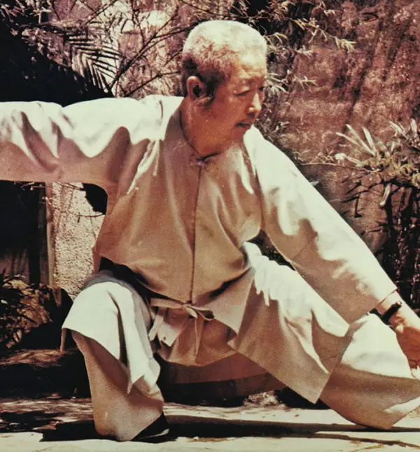 Portrait of Cheng Man-Ching, Tai Chi master and Yang short form creator
