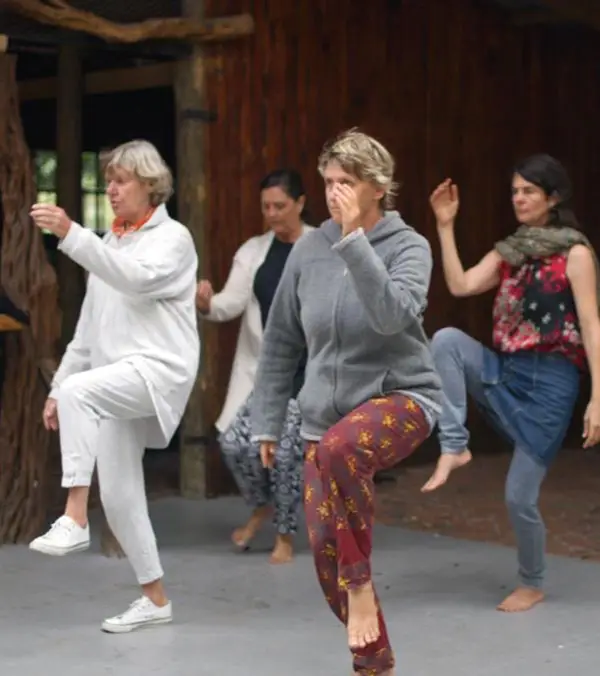 Learn Tai Chi and Qigong gentle movement practices