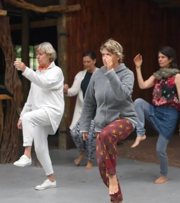 Peaceful Tai Chi practice in natural setting