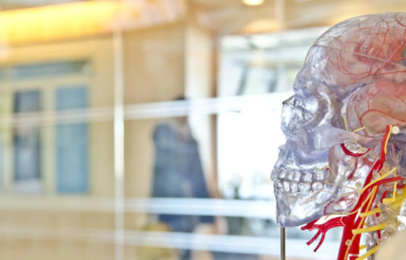 Meditation and the Science