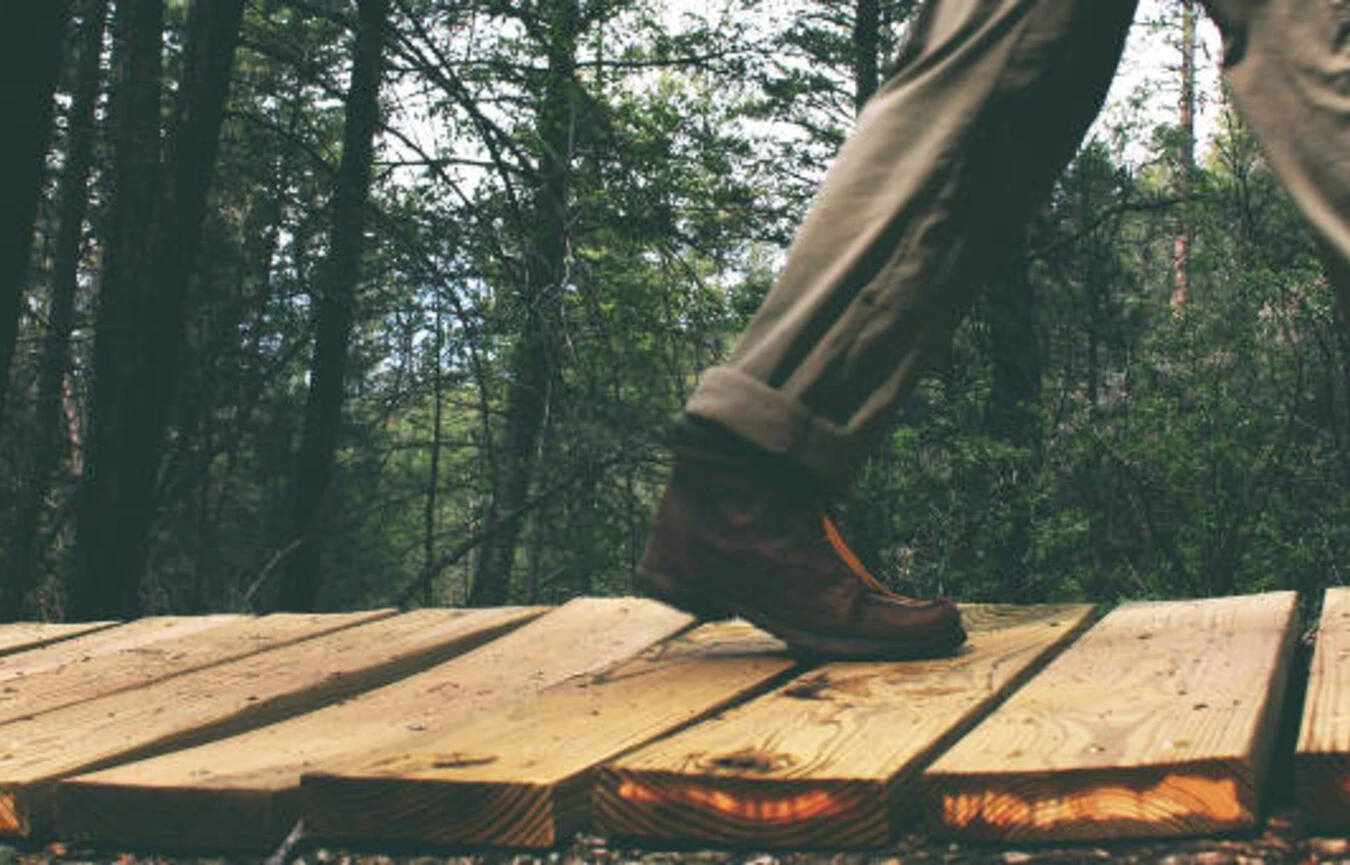 Turn your walk into a mindful moment