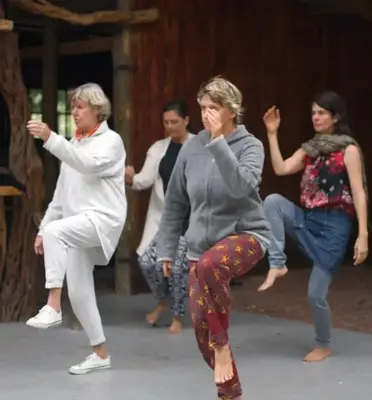Tai Chi practitioner demonstrating balance and stability exercises